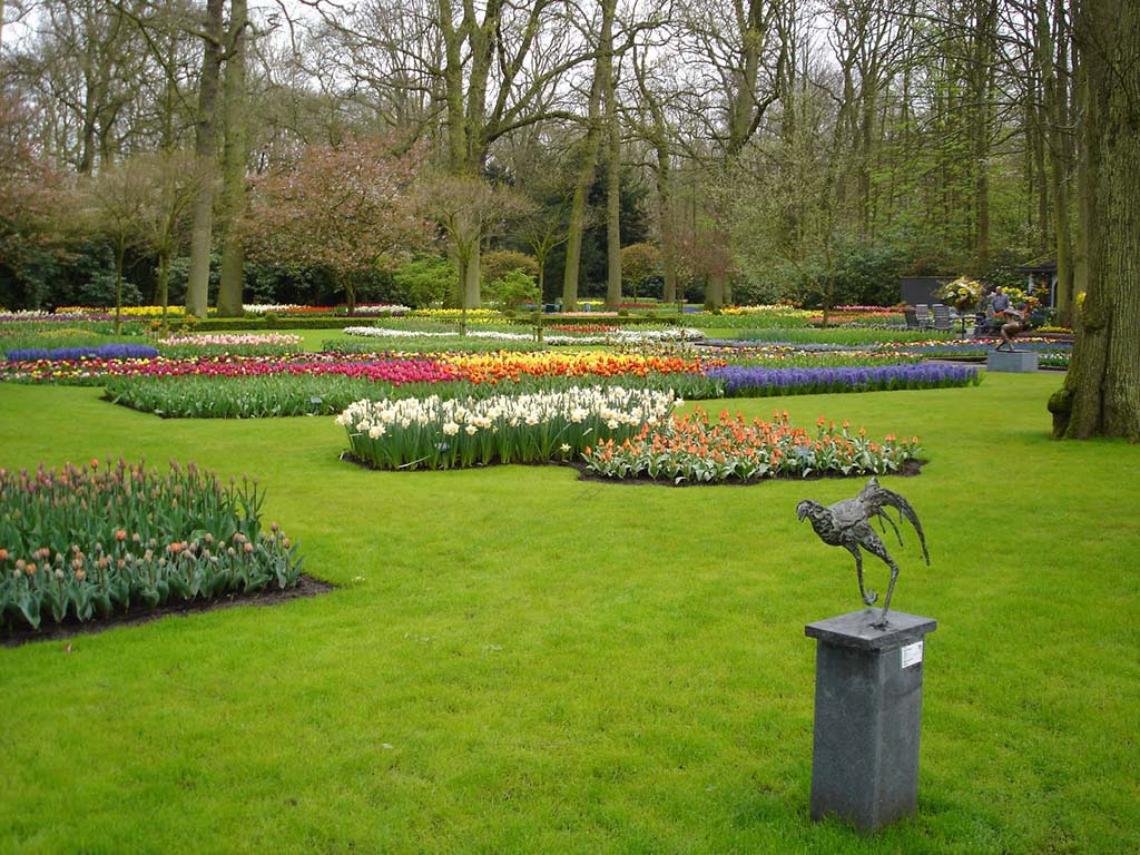 Tulips, The Netherlands